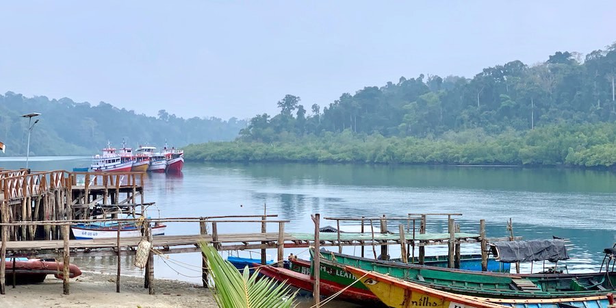 Marine life in the park