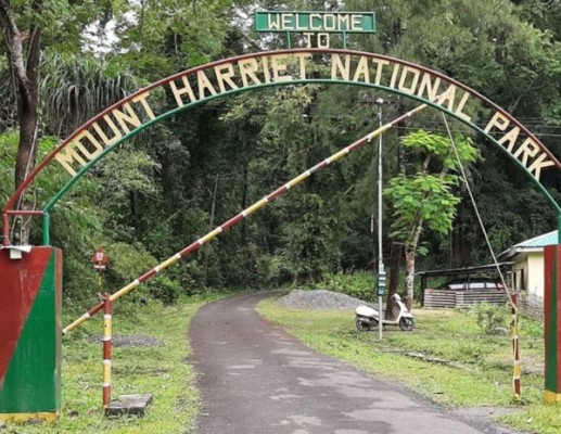 Mount Harriet panoramic view