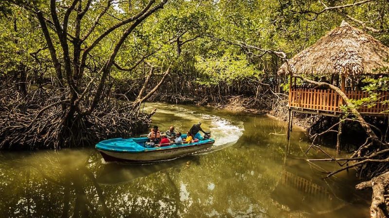 Bartang Island