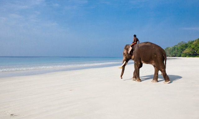 Elephant Beach View 2