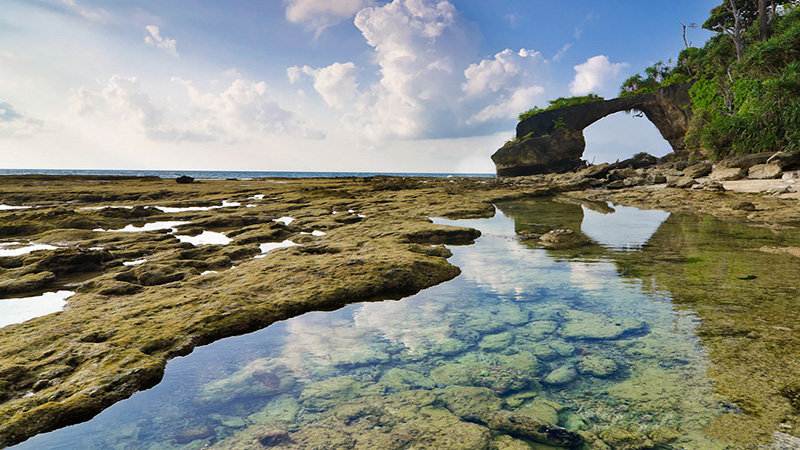 Niel Island